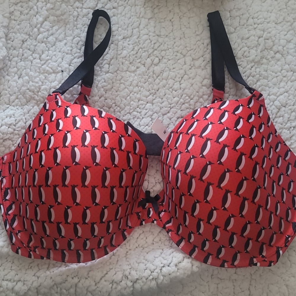 Victoria's Secret Bra